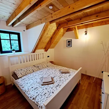 Apartment Vapenka - Kapacita 12 Osob Starkov (Hradec Kralove)
